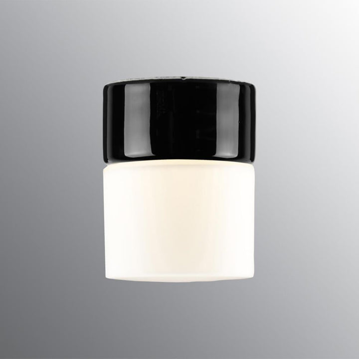 Opus 125 Bathroom Ceiling Light