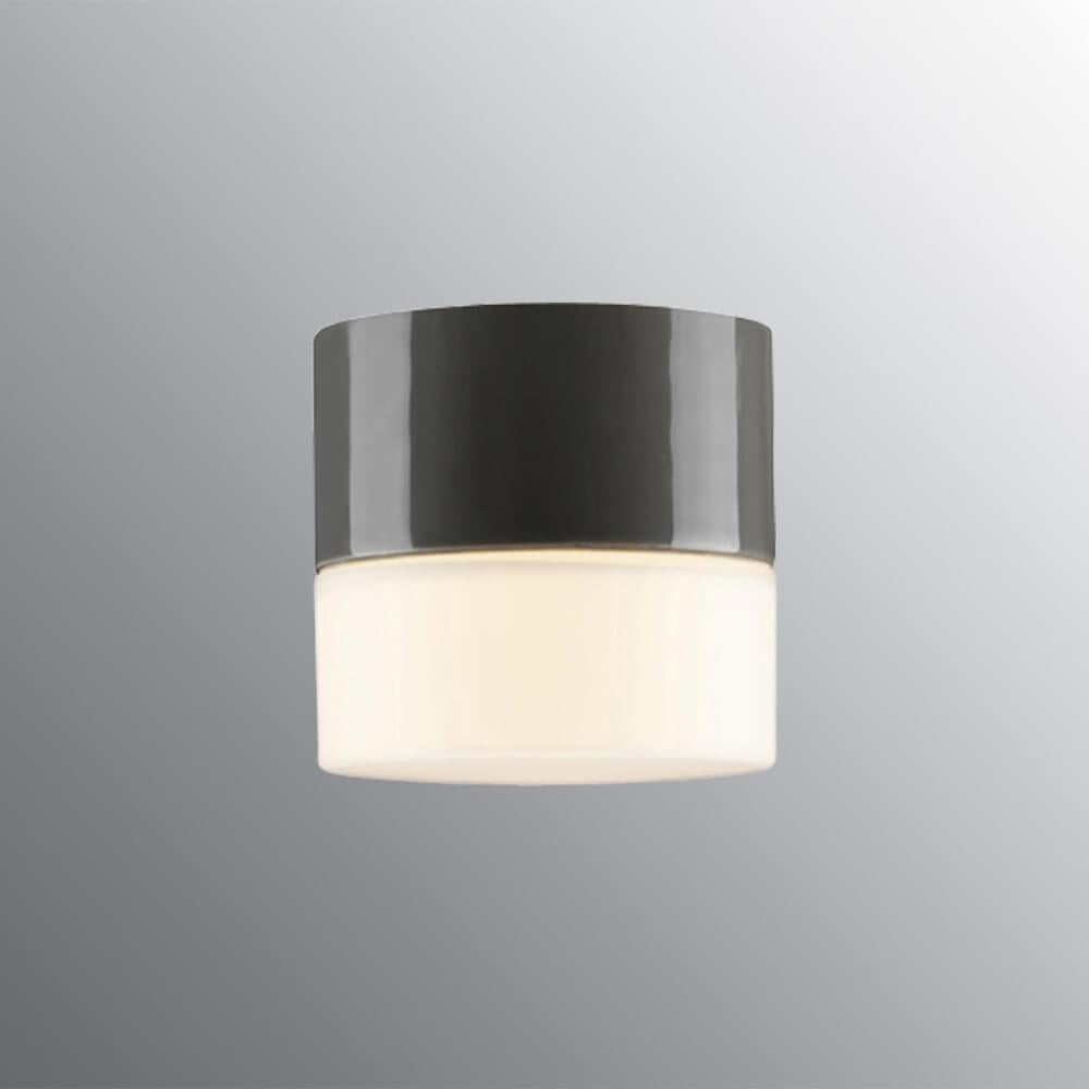 Opus 100 Wall / Ceiling Light