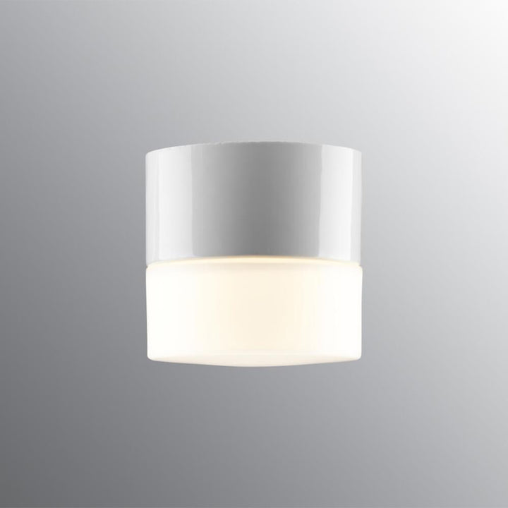 Opus 100 Wall / Ceiling Light