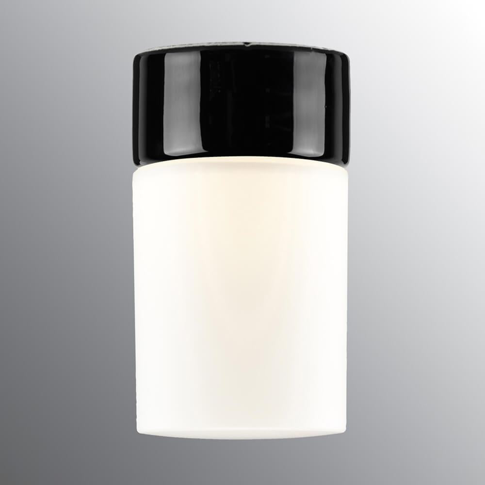 Opus 175 Sauna Wall / Ceiling Light