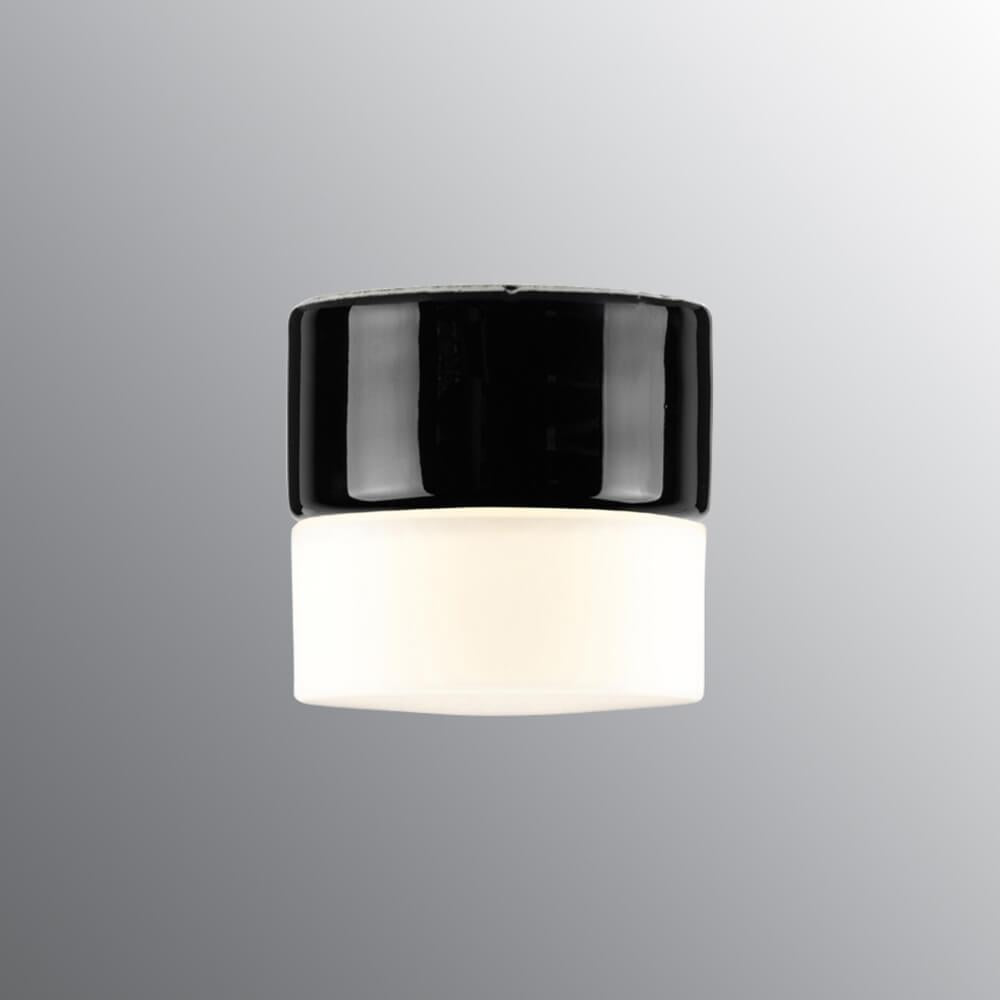 Opus 100 Wall / Ceiling Light