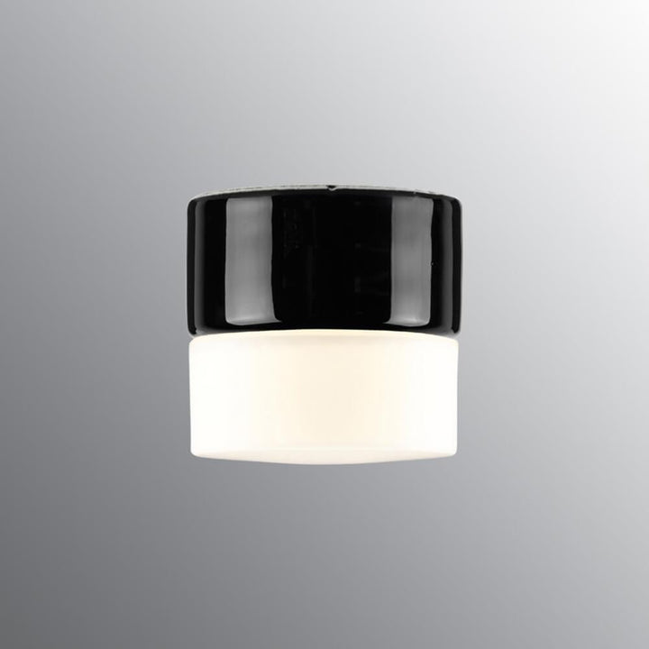 Opus 100 Wall / Ceiling Light
