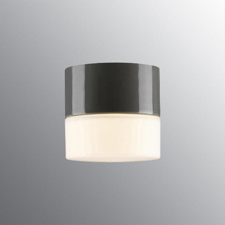 Opus 100 Wall / Ceiling Light